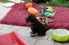 Polly R-Wurf 5 Woche 2025-04-18 001 (62)